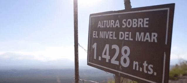 一瓶真正的自然酒的诞生丨Zorzal酒庄专访