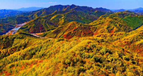 2020抚顺踏青哪里好,抚顺四月赏花推荐去哪