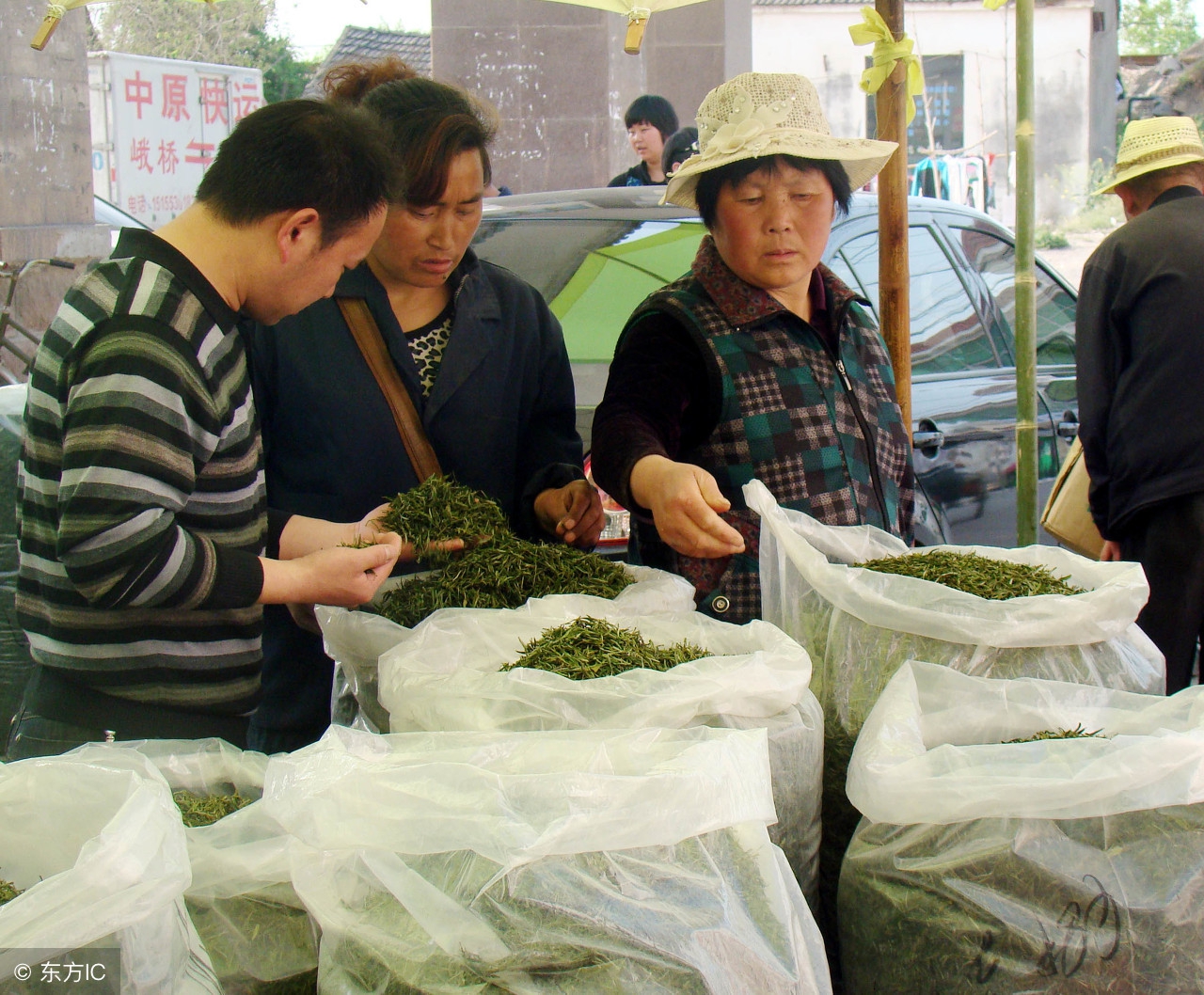 今年普洱春茶价格表,普洱春茶价格预计