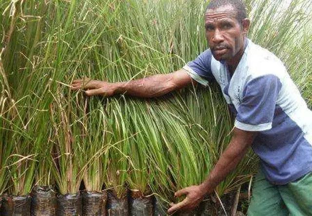 男士的私护处理液,私护护理液的用处