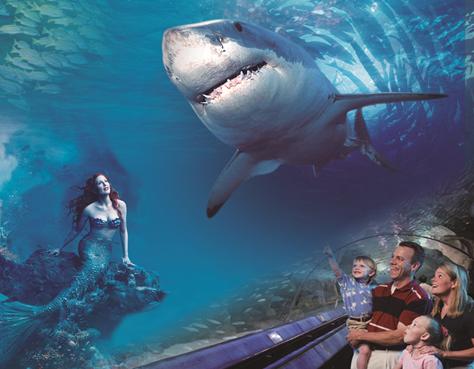 北京老牌水族馆富国海底世界，49.9元1大1小探险蓝色海洋的秘密