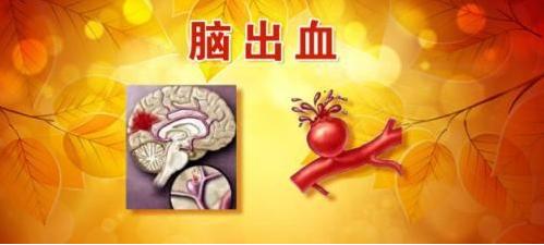 脑出血中医病因和发病机制,脑出血原因中医