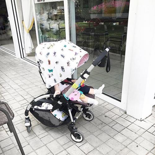 明星们都用哪款婴儿推车,明星同款婴儿推车普洛可