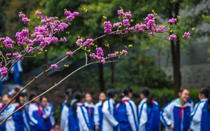 石室天府有多厉害,石室天府真实现状