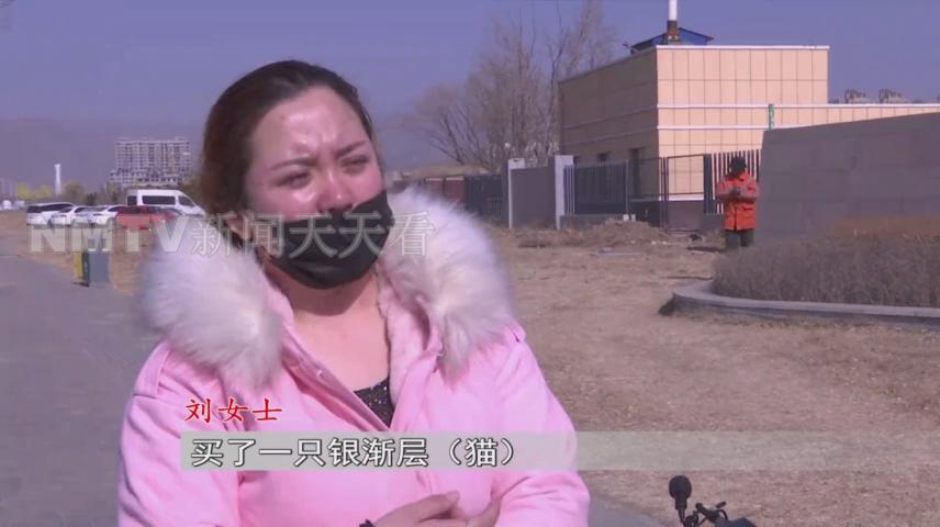 呼和浩特一女子花1500元买了只小猫，几天后孩子身上竟出了红疹？！女子投诉猫舍职能部门介入