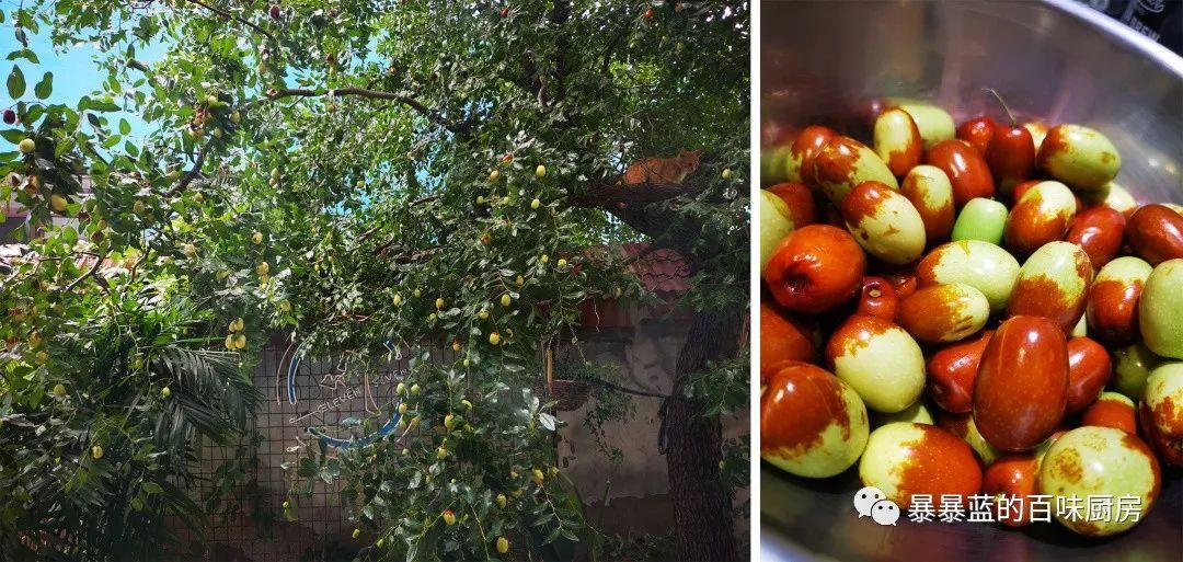 来这家店你真没办法好好吃饭，每道菜都堪比艺术品，好吃到光盘