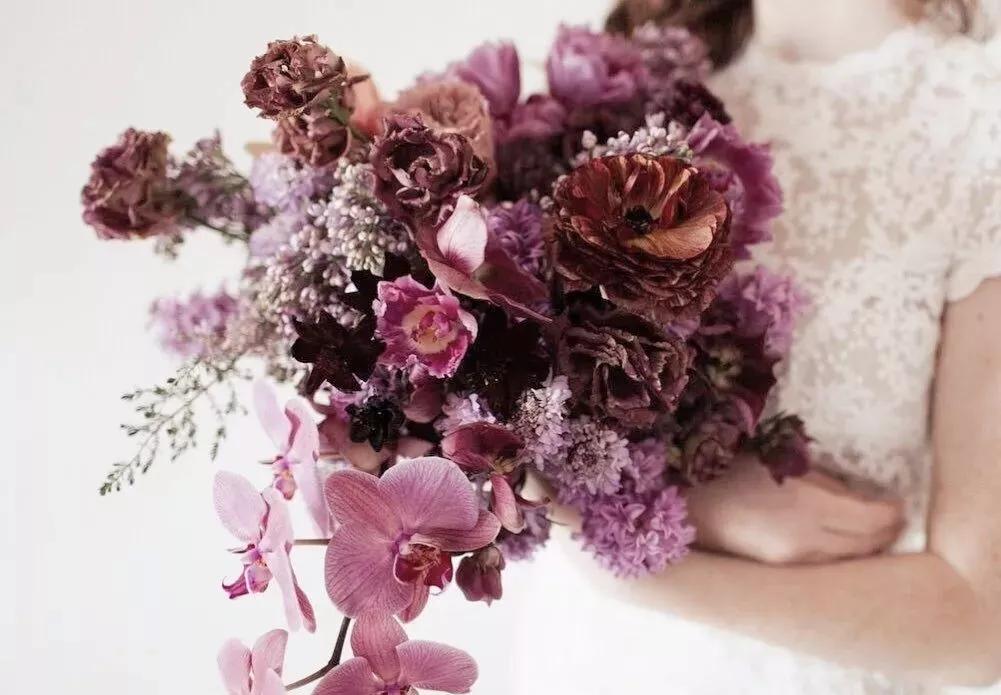 花材不剪枝如何养护,花材不用换水养护方法大全