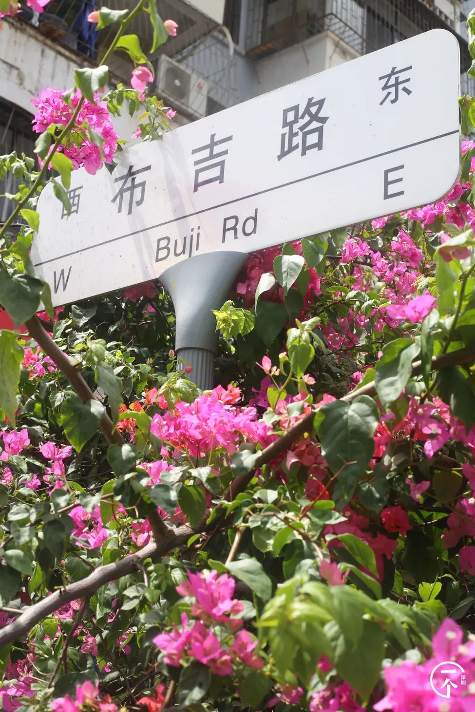 深圳布吉房租走势,布吉租房大概是什么价位