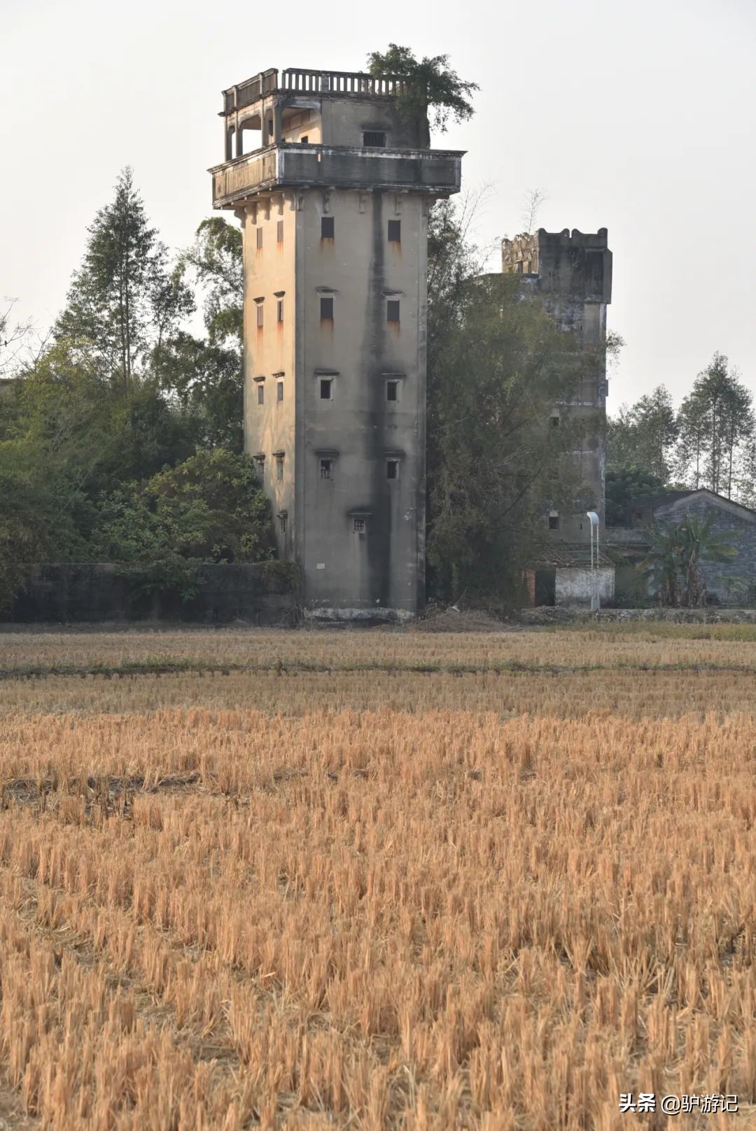 100年前通电话公交车的村庄，出了一位女中豪杰，尚存37座碉楼