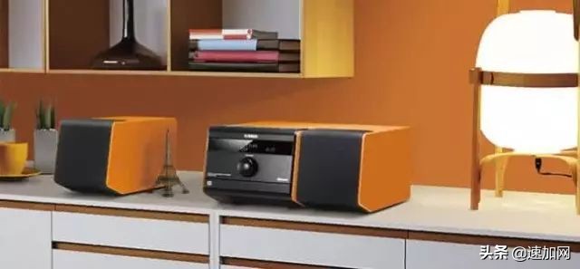 公司不按套路出牌,全网最不按套路出牌