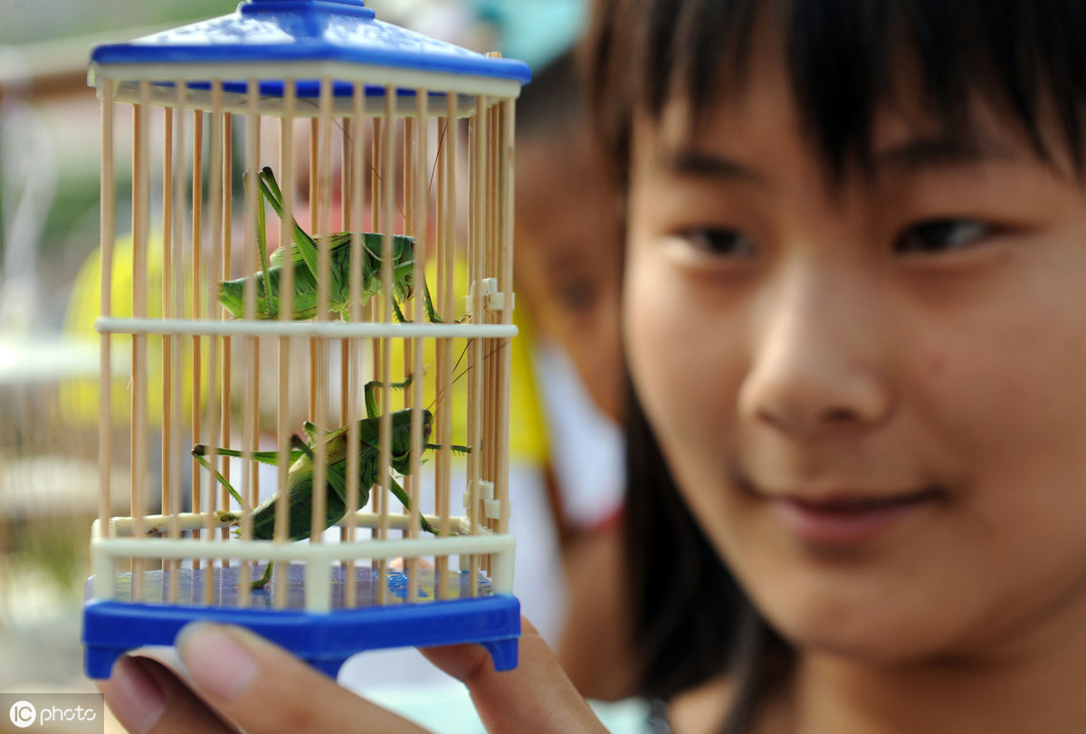 蝈蝈传统饲养,饲养蝈蝈的历史