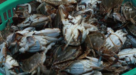 海蓝媲美三亚，福建这个被低估的宝藏地，夏天去太舒服了