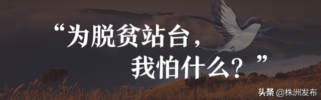 待到山花烂漫——追记“最美扶贫书记”黄诗燕