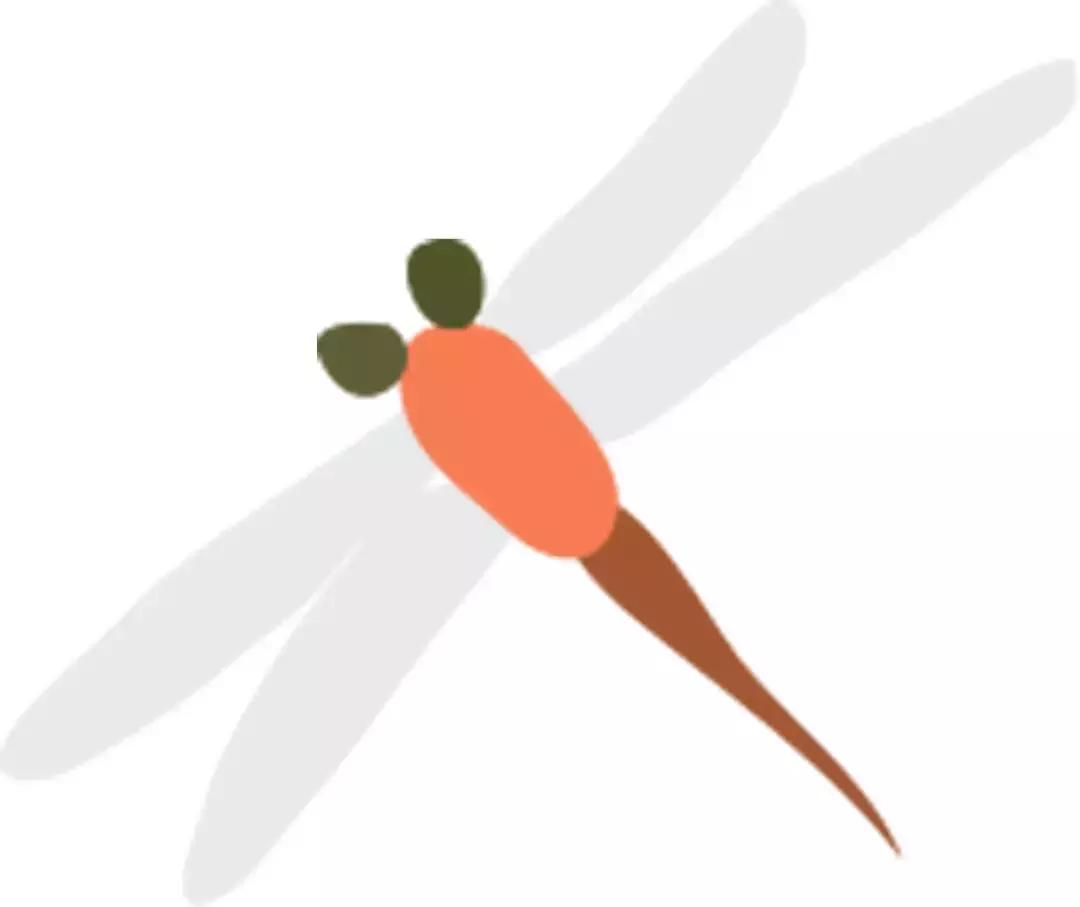 五一放假带孩子去哪玩主题乐园,五一儿童节最好玩儿的乐园