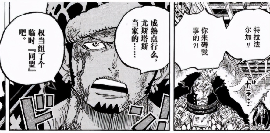 「将军聊斋」海贼王1015-1018话特务队隔岸观火，海上皇再临棋局