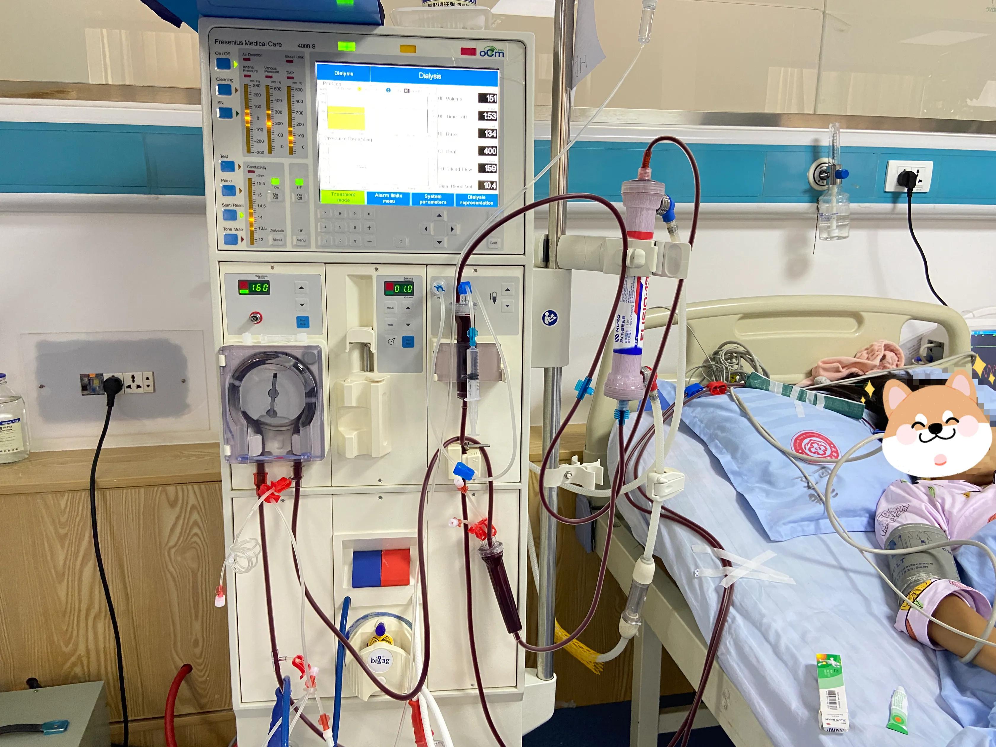 猫咪肾衰竭的症状,狗狗肾衰竭的症状