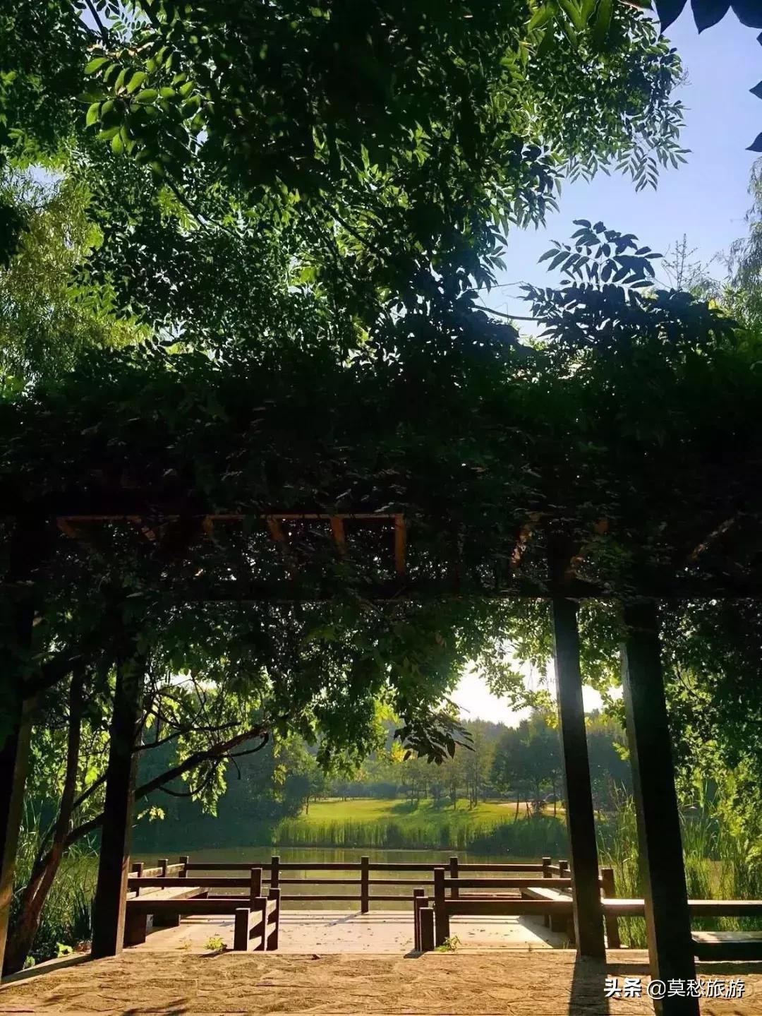 爱喝双拼奶茶的你,知道南京市郊有座免费的“双拼”公园吗?