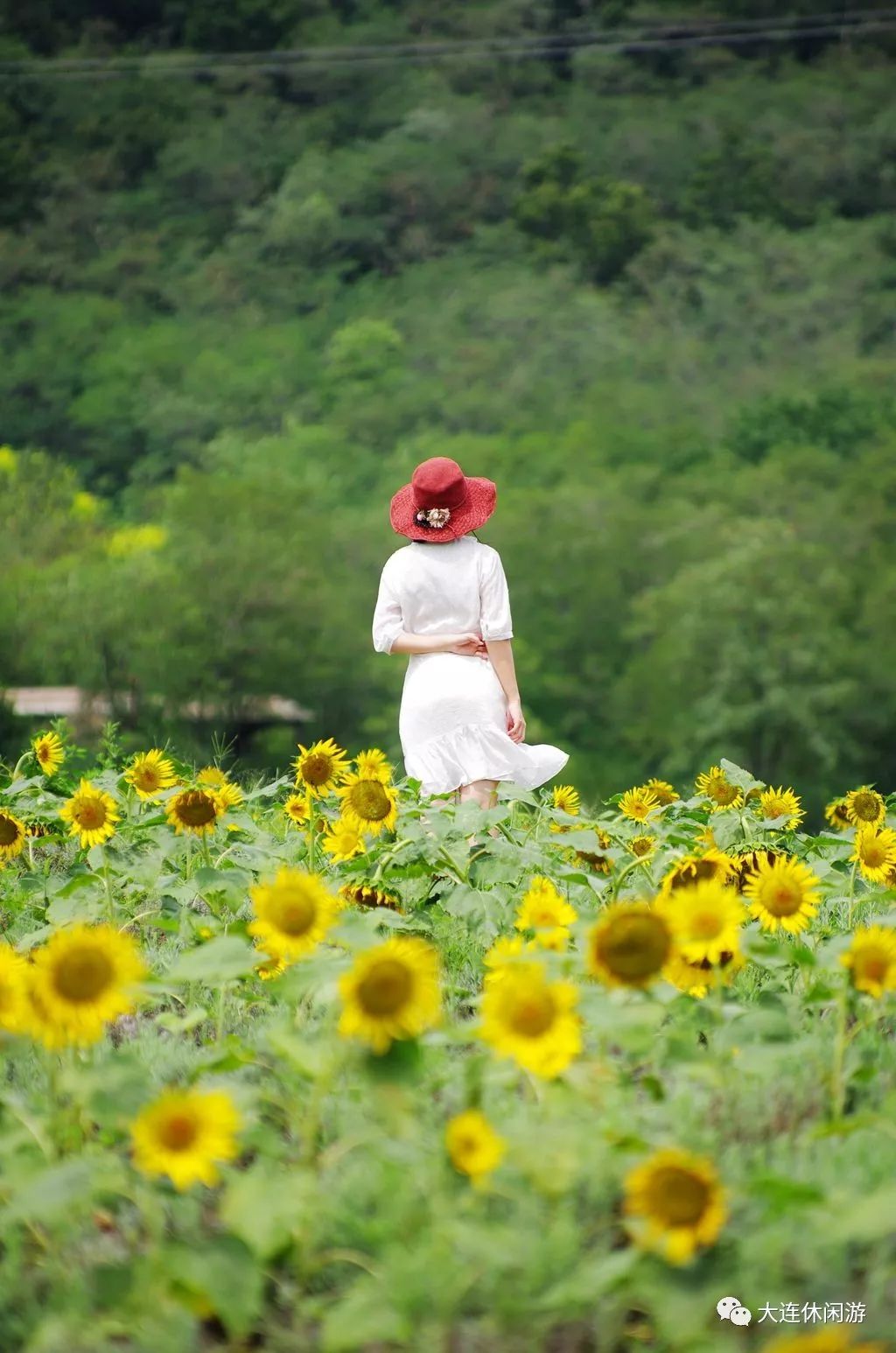 大连九月旅游攻略大全,大连11月旅游的最佳地方