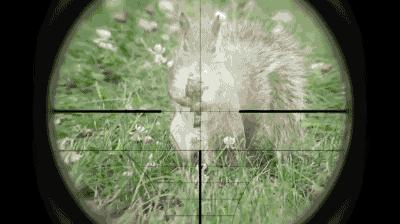 武学宗师陈鹤皋,疯癫的大师陈鹤皋