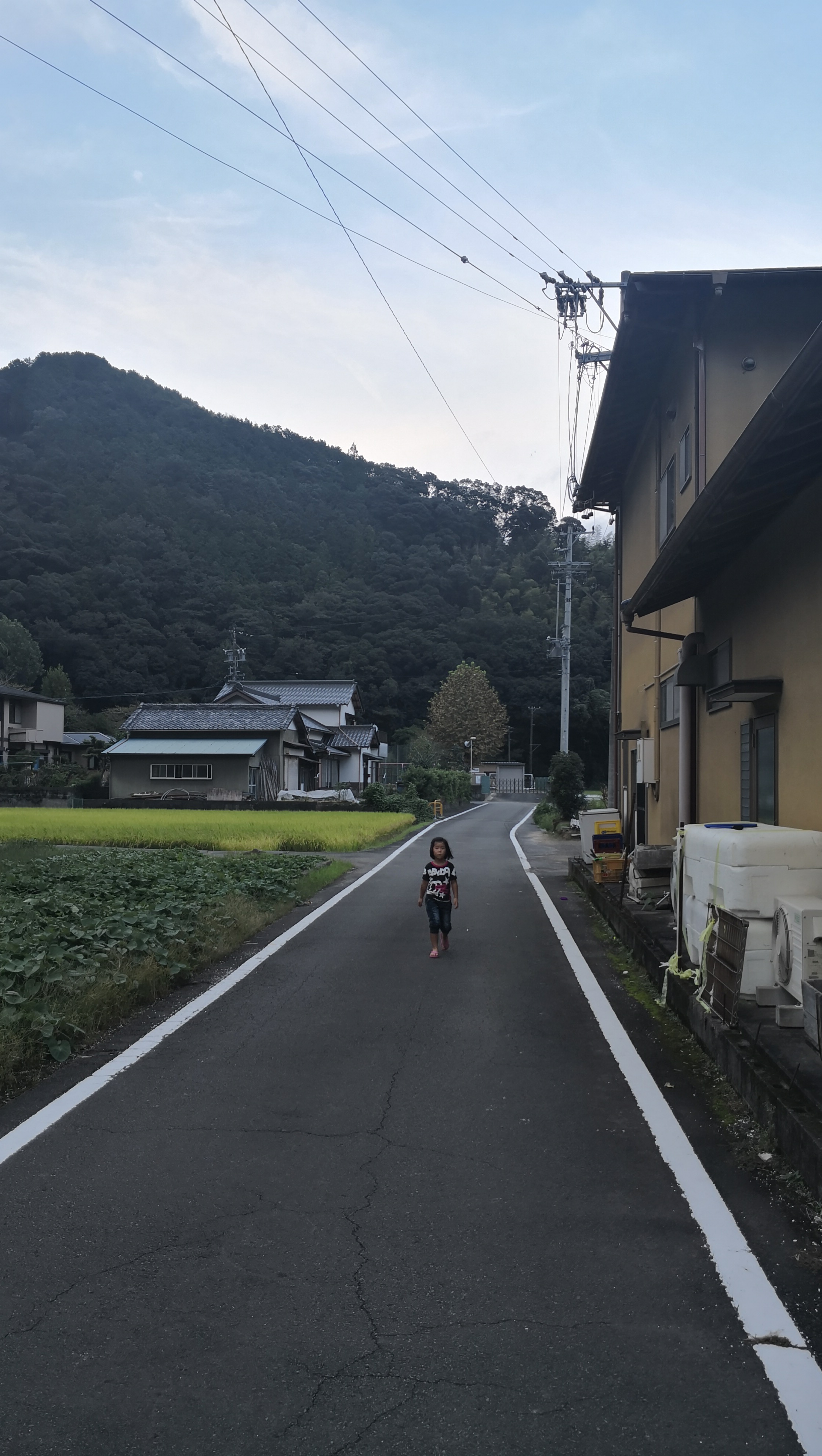 日本本州七日游,日本本州游记
