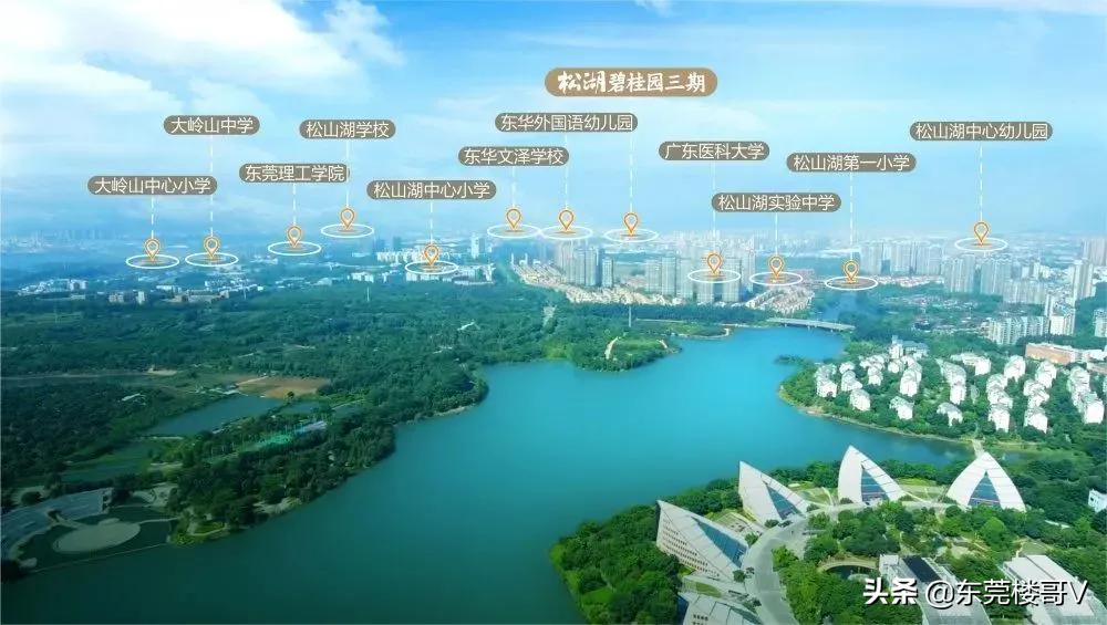 楼哥炒股记,楼哥看房正荣棠悦