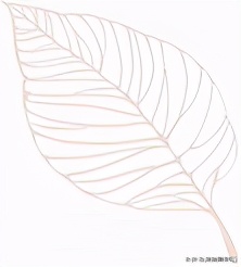 成都未来核心生活区,成都四十个板块