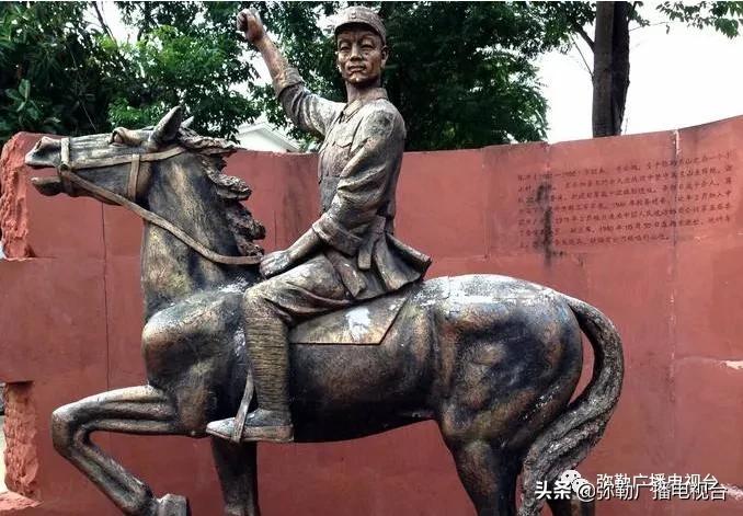 卖火了！弥勒紫色“将军芋”！政府包了