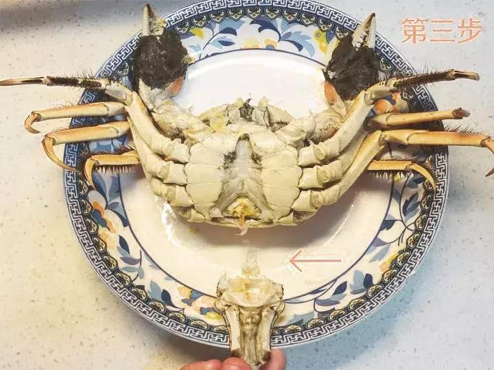 吃螃蟹标准方法,手把手教你怎样吃螃蟹教程