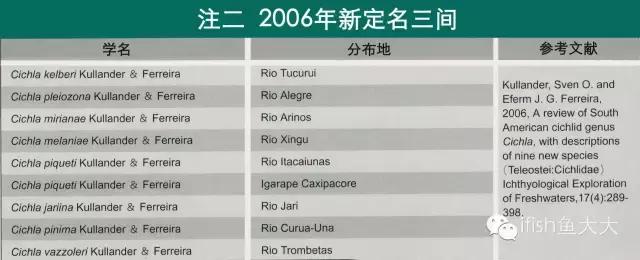 大型鱼观赏性,大型三间鱼