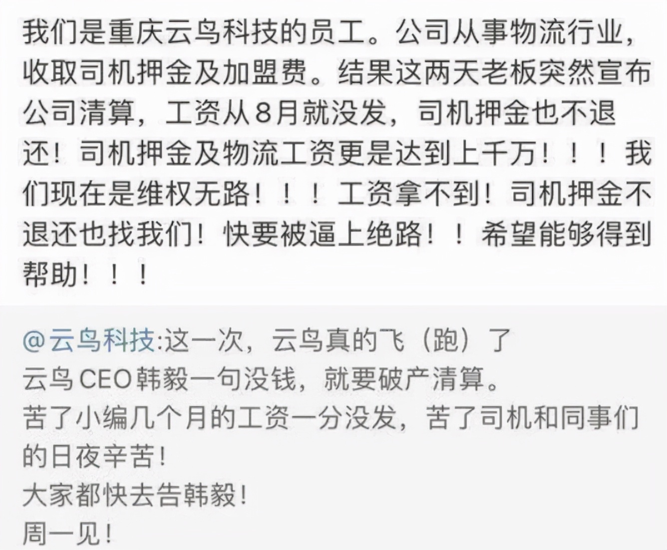 云鸟科技陷破产纠纷,云鸟物流跑路了