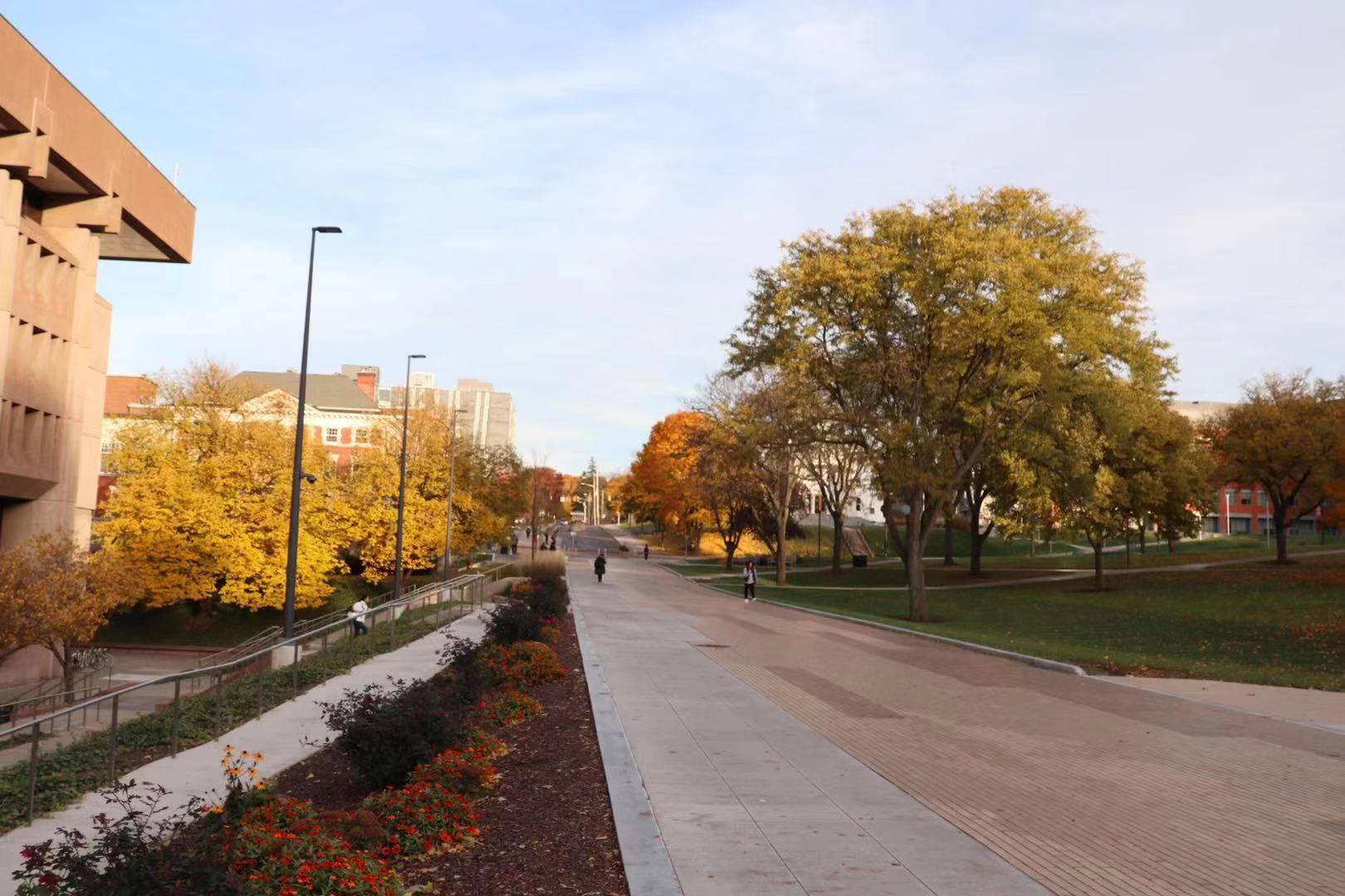 美国名校康涅狄格大学,相当于中国什么档次的大学?