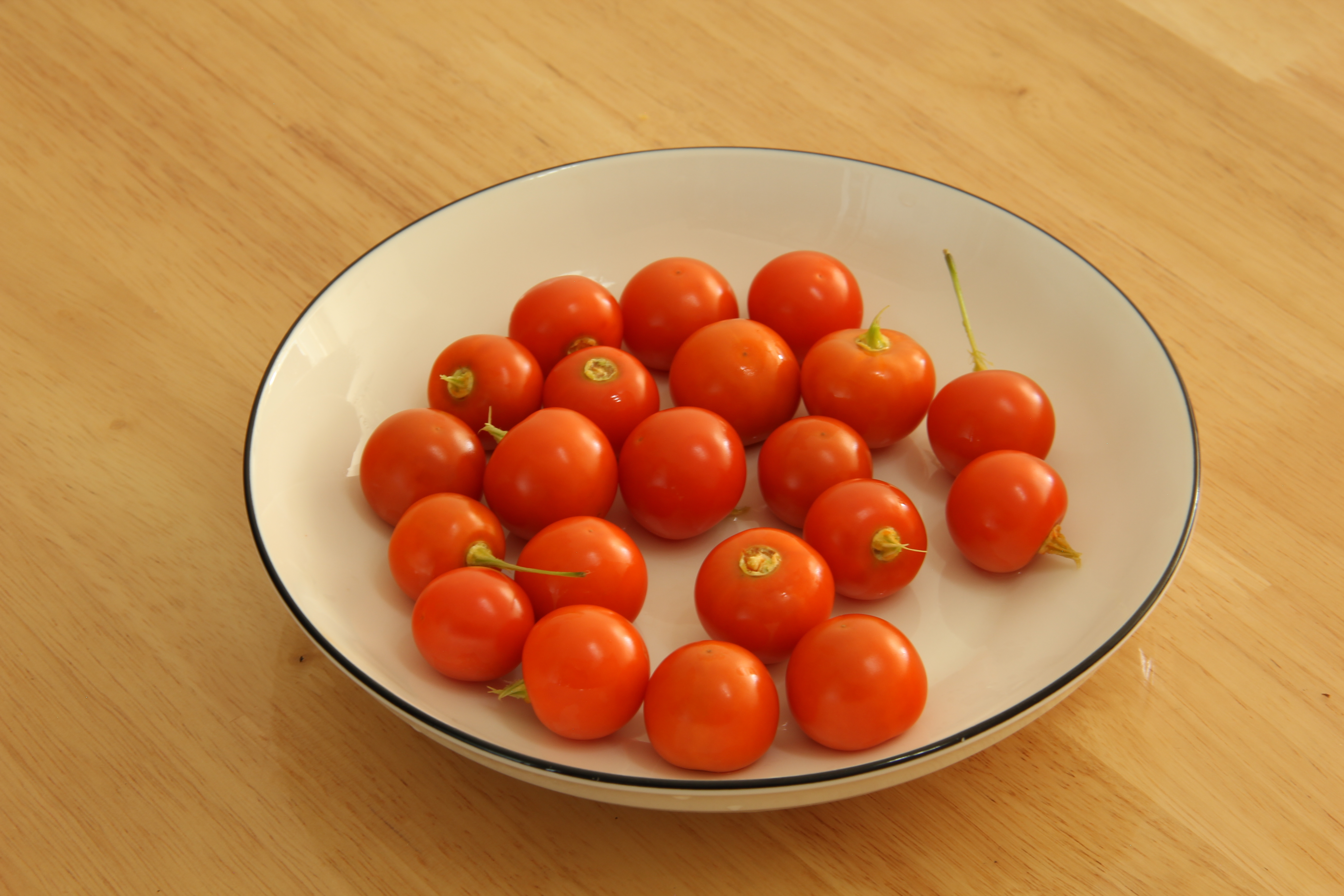 东北红姑娘图片大全,东北红姑娘种植技术