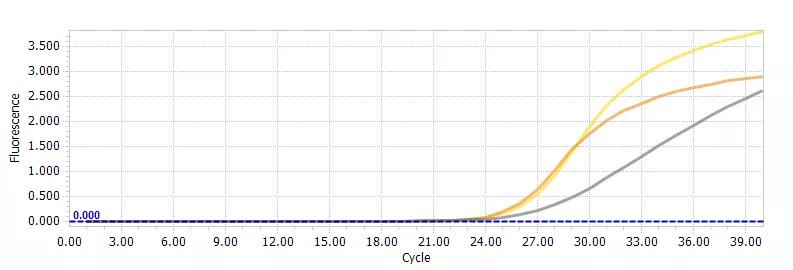 qpcr难点,qPCR常见问题及解决方案