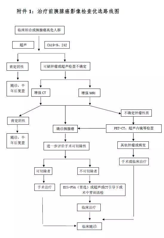 符合胰腺癌正确诊疗思路的是 (胰腺癌综合诊疗方案有哪些)