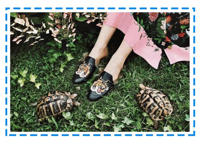 lv双肩包动物园,lv狗包