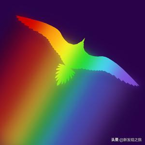 世上真的有长生不老液吗,世界上真的有长生不老仙丹