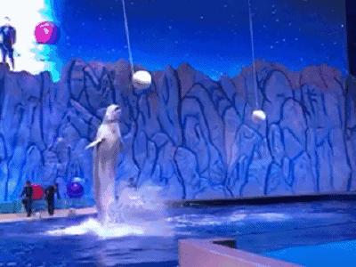 企鹅酒店三日两夜套票,企鹅极地主题酒店