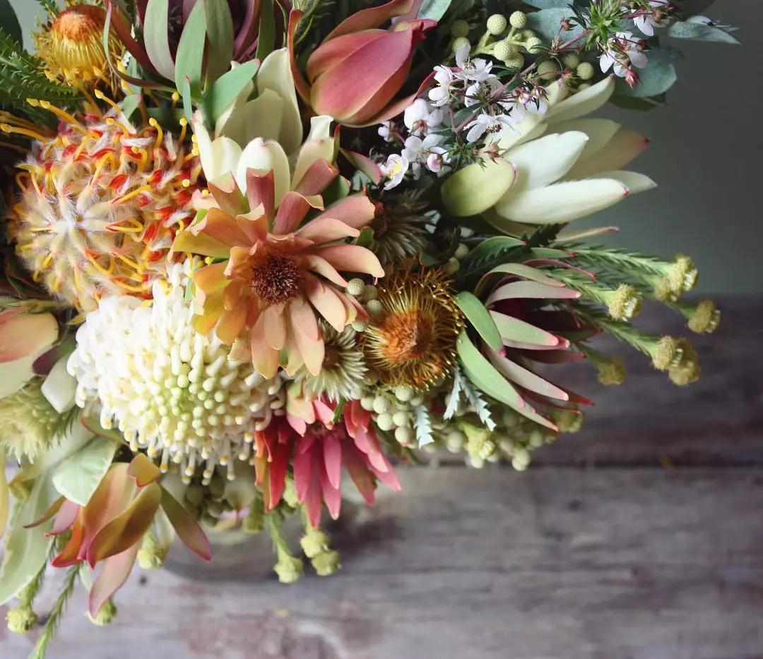 可以在室内燃放的烟花爆竹,植物烟花可以放室内吗