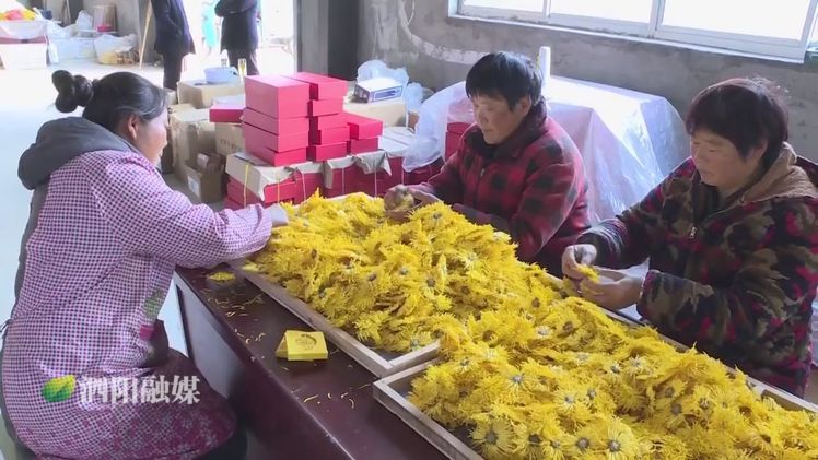 2019年泗阳县重点民生工程,农村重点民生实事