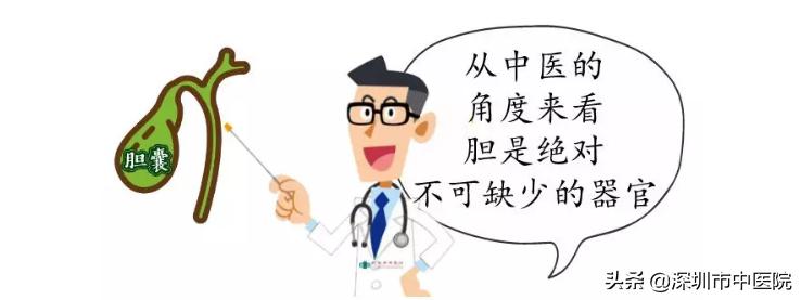 胆囊长满了结石必须做手术吗,胆囊小结石必须要把胆囊切掉吗