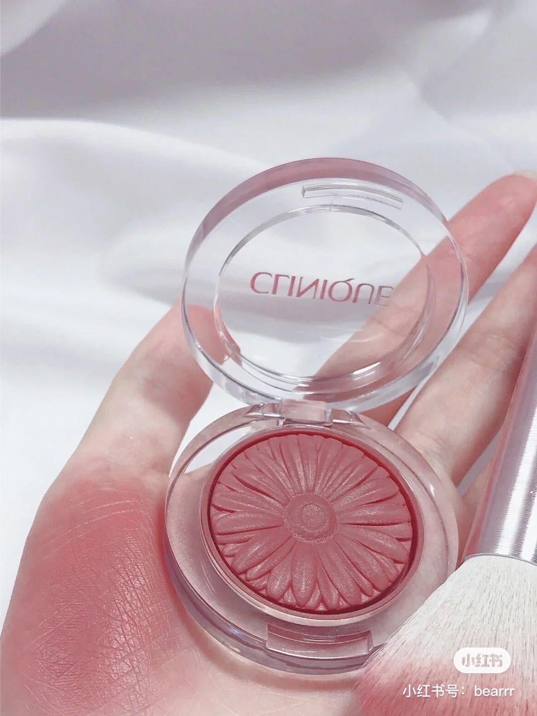 小雏菊带香味,小雏菊花果香