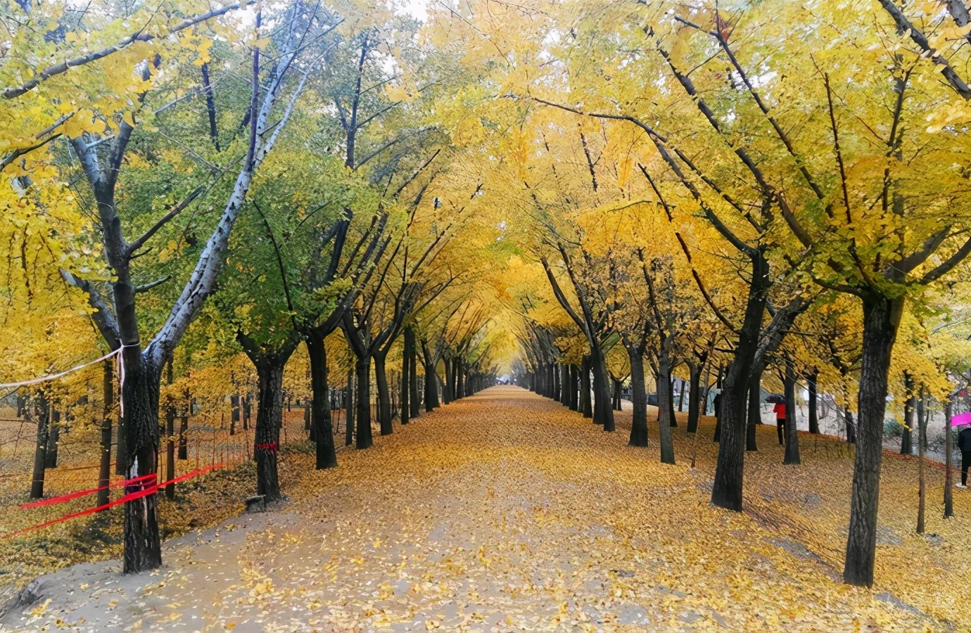 江苏省徐州市哪些区,江苏省徐州市有什么区