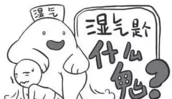 孕妇舌苔白腻有齿痕,孕妇湿气重吃什么食物最好