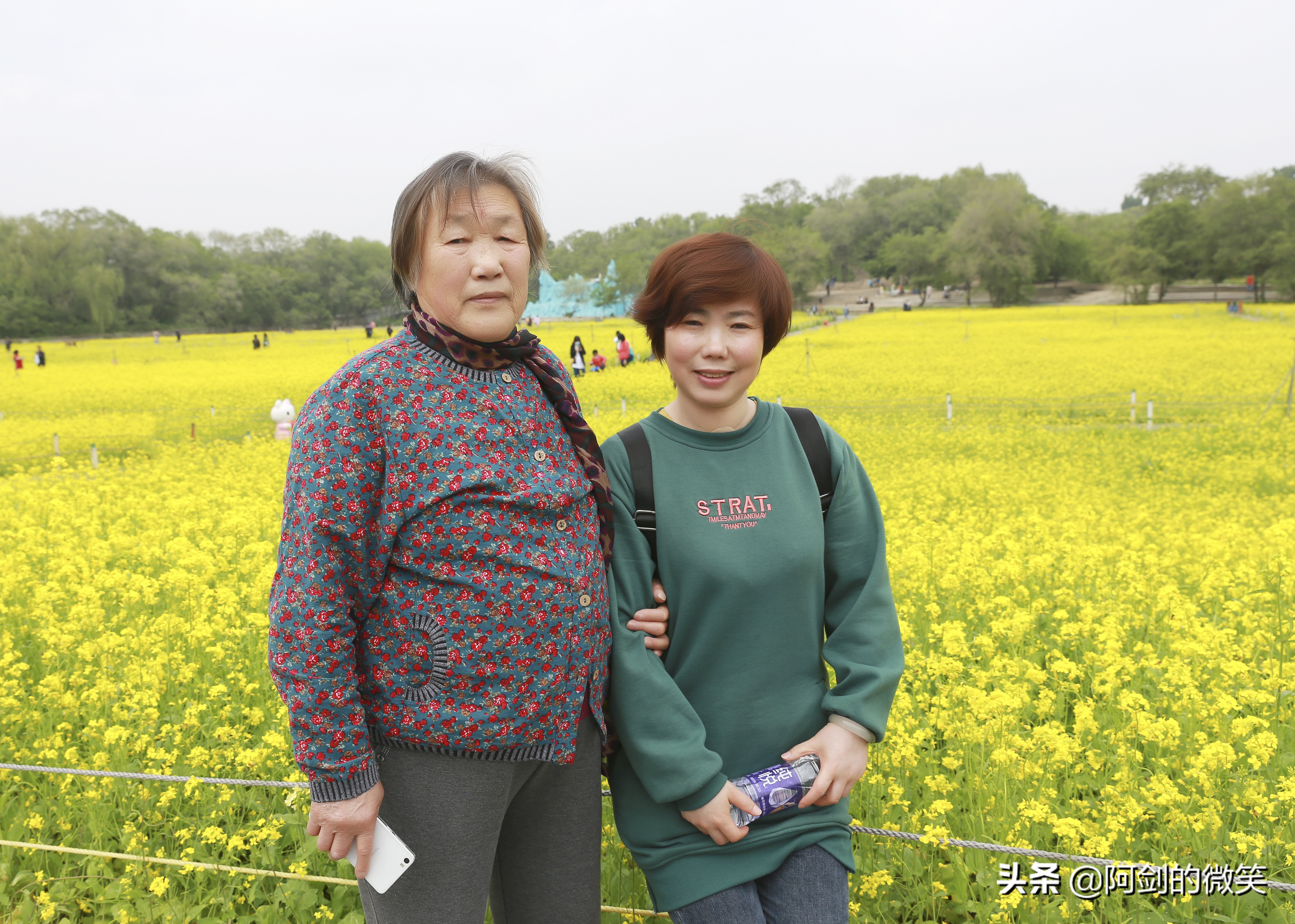 沈阳十一假期哪里有花海,沈阳玫瑰小镇温泉花海两日游