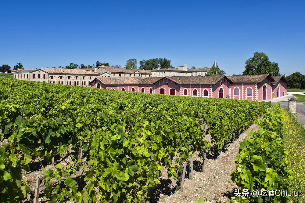 南非小拉菲红酒简介,法国小拉菲红酒价格表