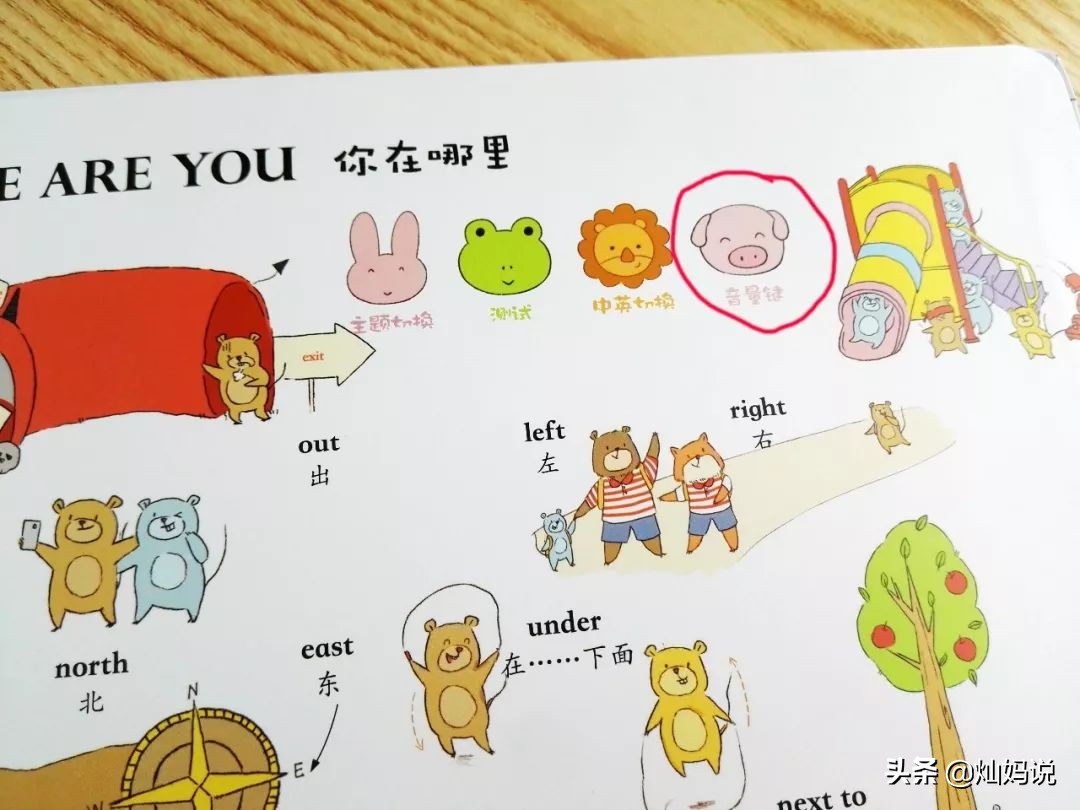 手指点读英语发声书推荐,灿妈书单