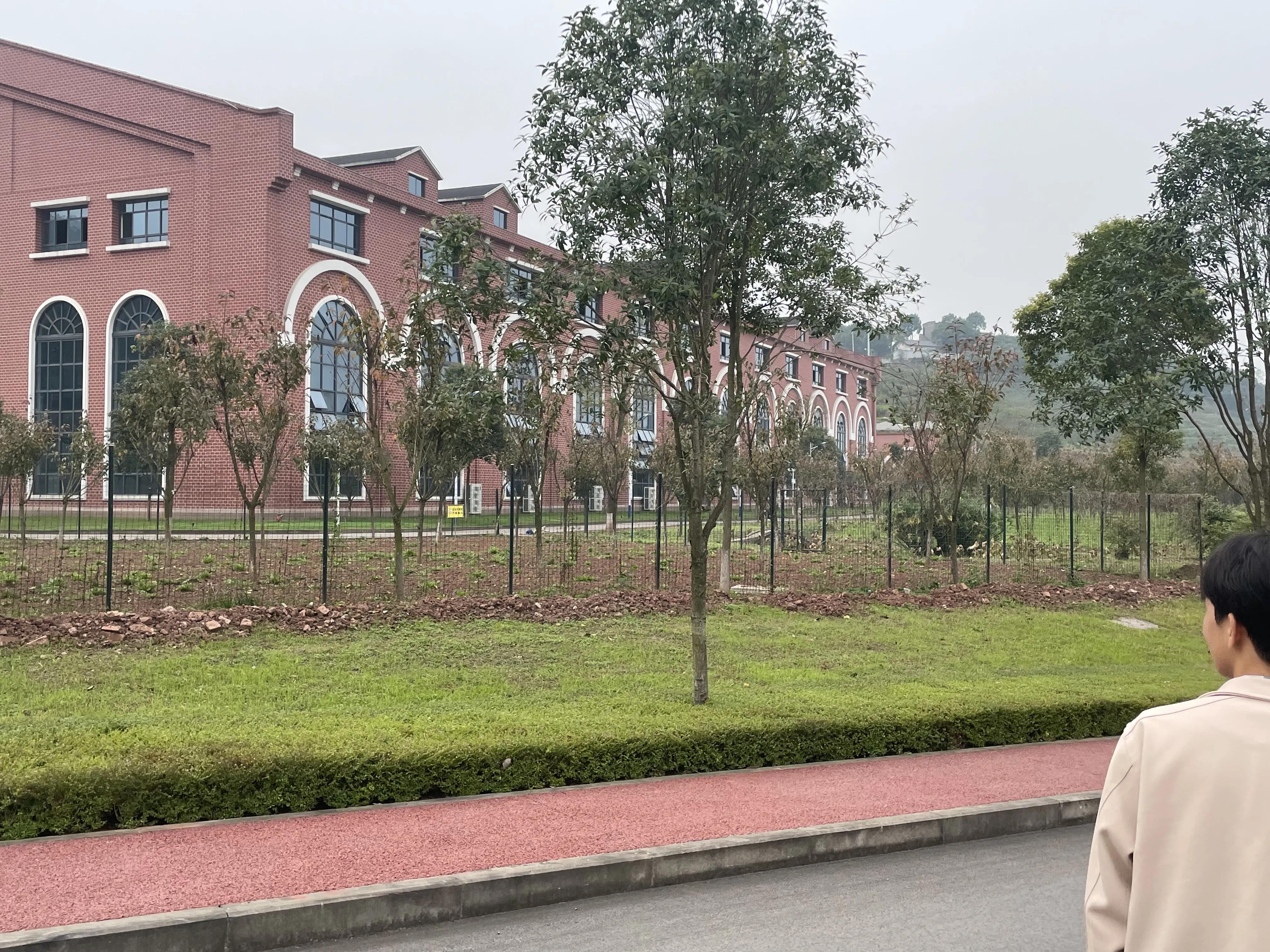 如何做一个合格的大学生家长,如何做一个合格的大学生演讲稿