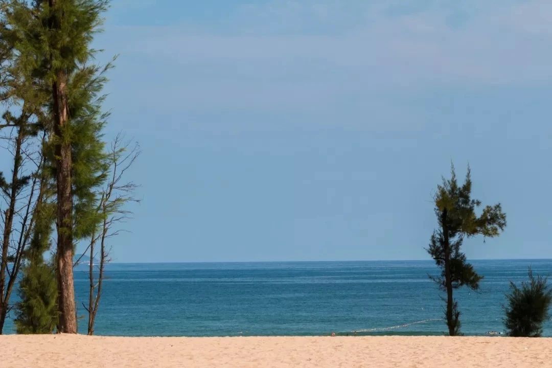 深圳周末浪漫好去处,深圳浪漫约会地点十个景点