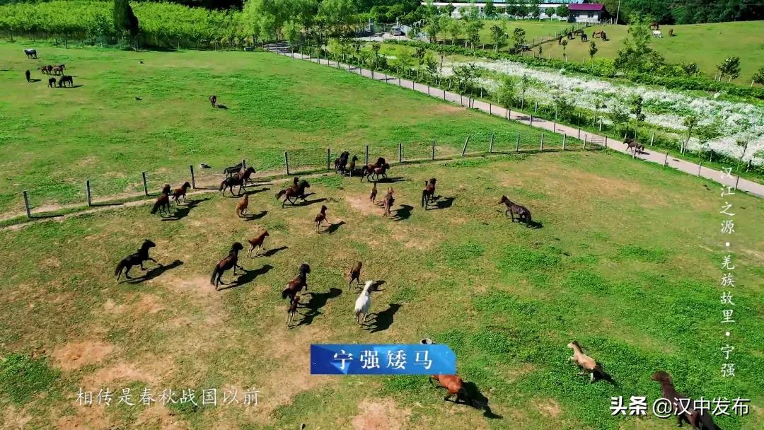 三千里汉江第一城宁强,中国三千里汉江第一城