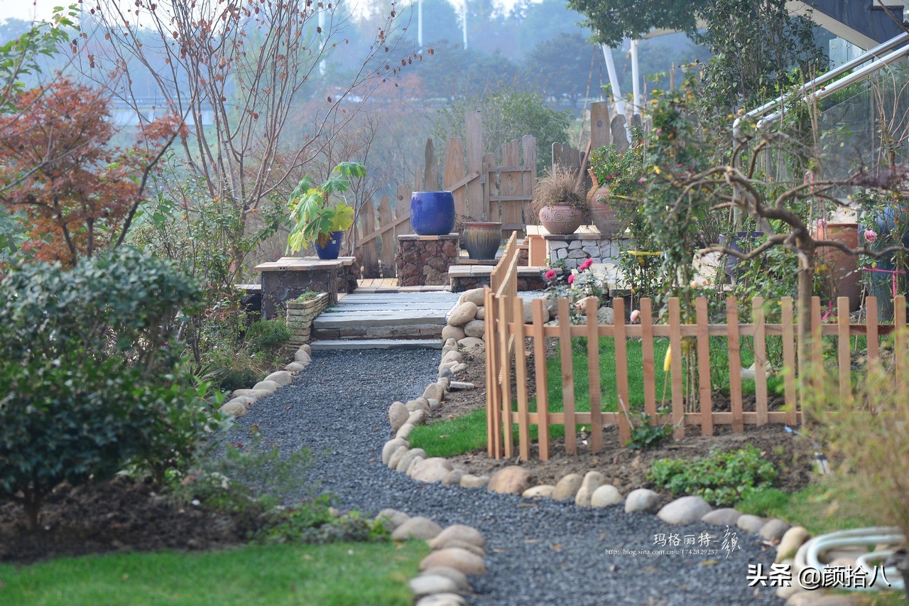 愿时光静止,愿时光静止在这一刻